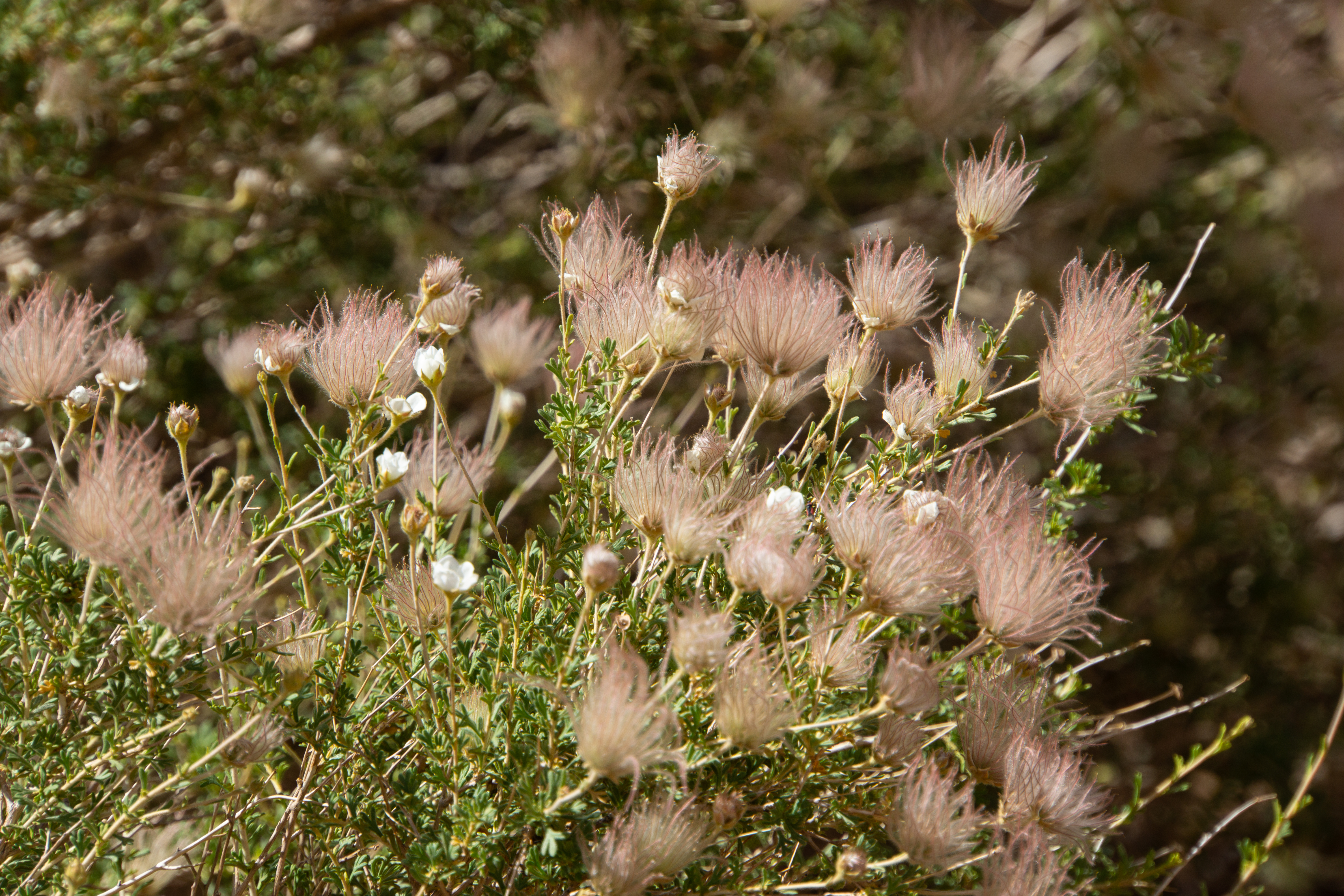US National Parks 2022 27